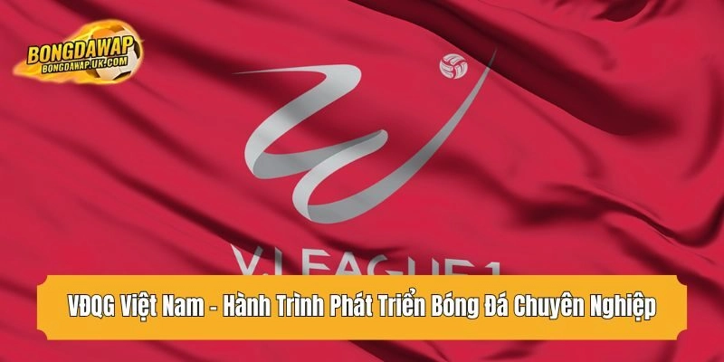 vdqg việt nam